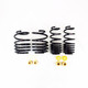 RS-R 2023+ Honda Civic Type R (FL5) Down Sus Springs RS-R 2023+ Honda Civic Type R (FL5) Down Sus Springs